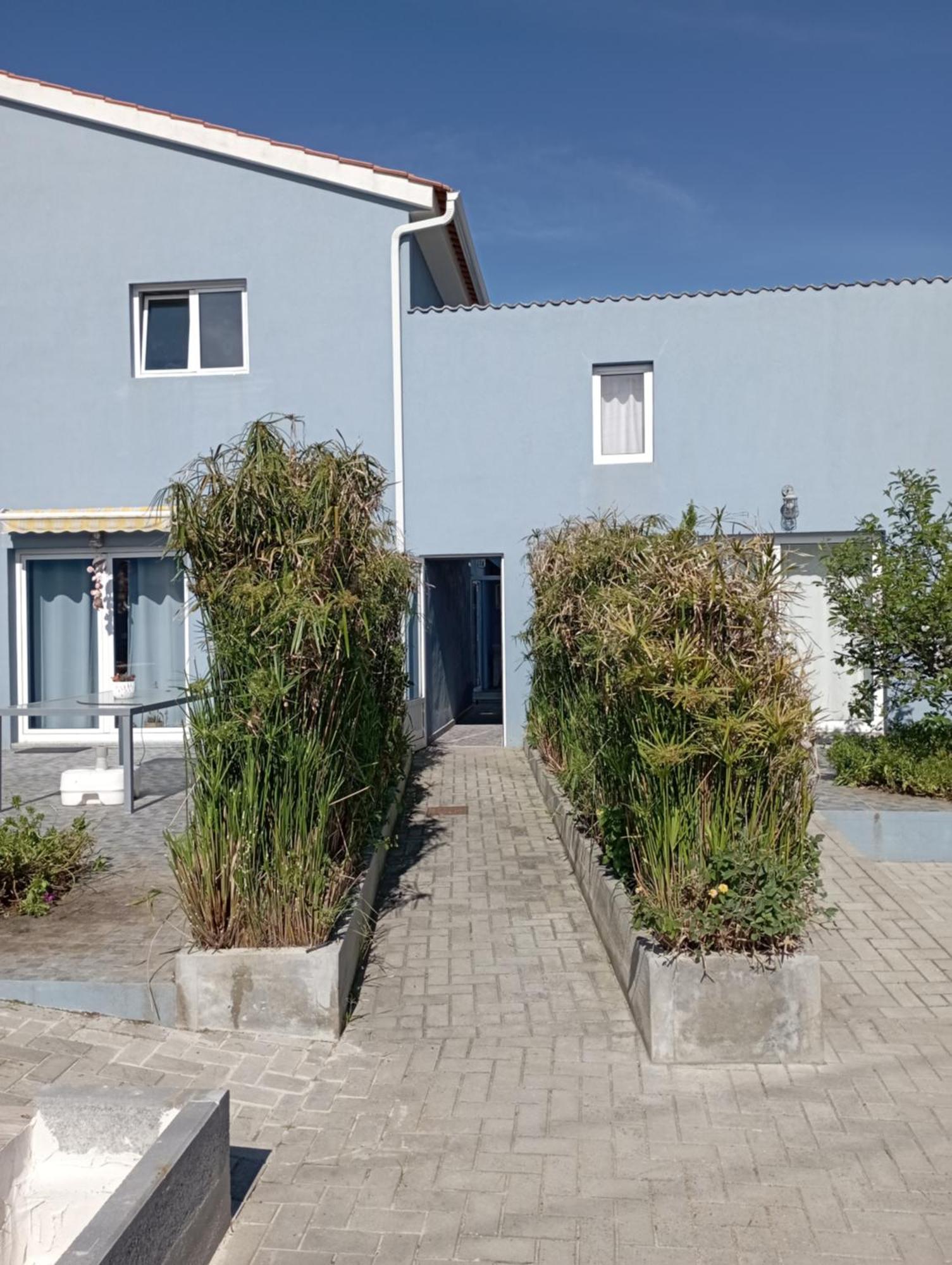 T2 Na Praia Da Costa Nova - Yellow Door ภายนอก รูปภาพ